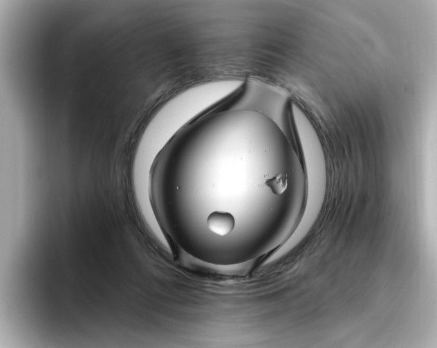 X0000095130312200712211335