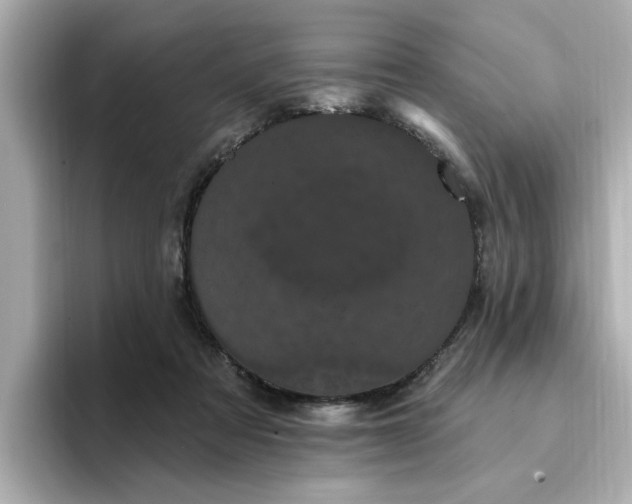 X0000095130313200712211335