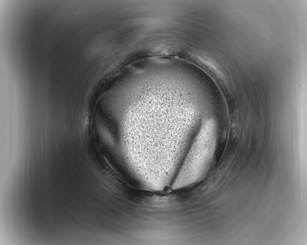 X0000095130314200712211335