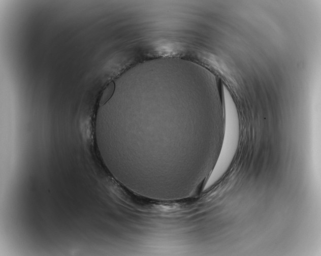 X0000095130317200712211335