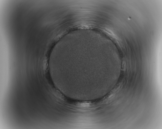 X0000095130318200712211335