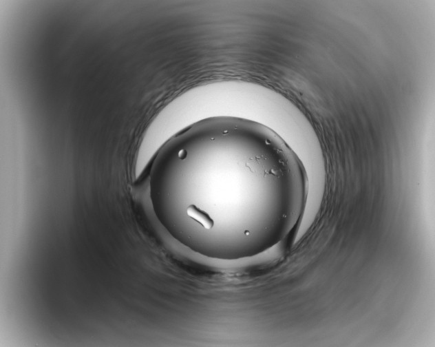 X0000095130320200712211335