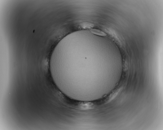 X0000095130321200712211335