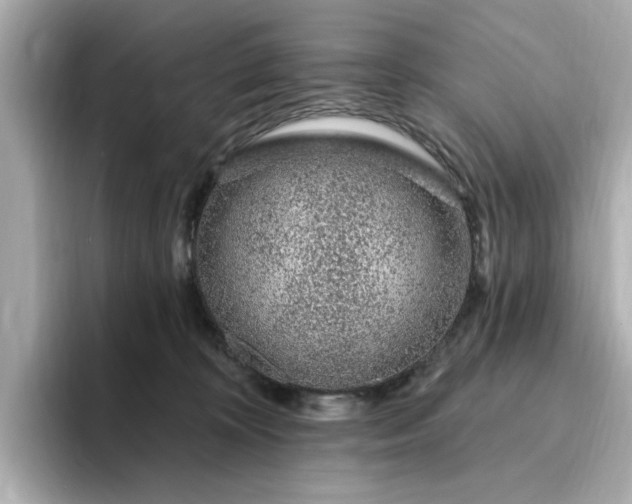 X0000095130324200712211335