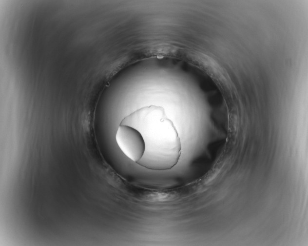 X0000095130326200712211335