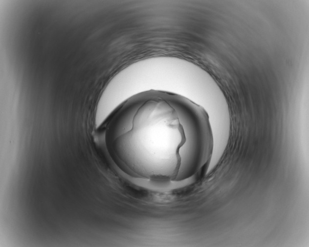 X0000095130327200712211335