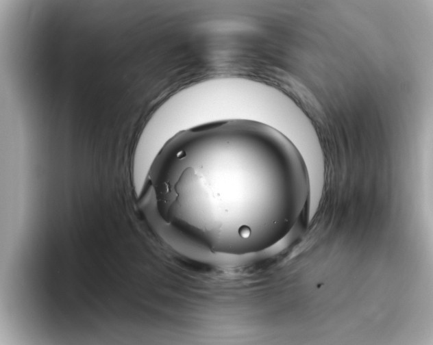 X0000095130329200712211335