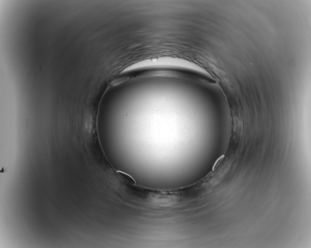 X0000095130331200712211335