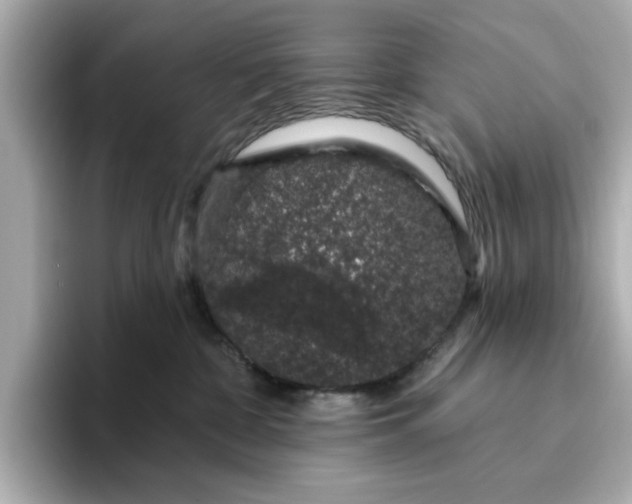 X0000095130332200712211335