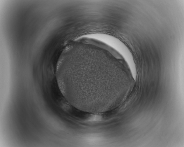 X0000095130335200712211335