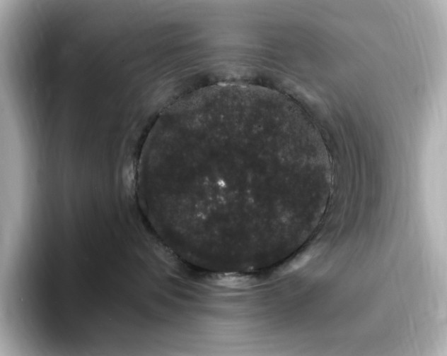 X0000095130336200712211335