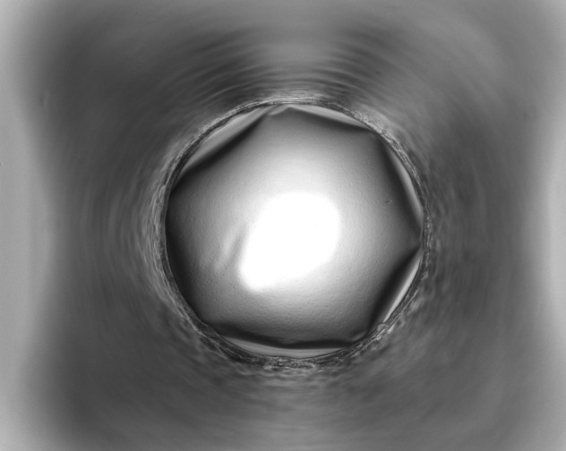 X0000095130337200712211334