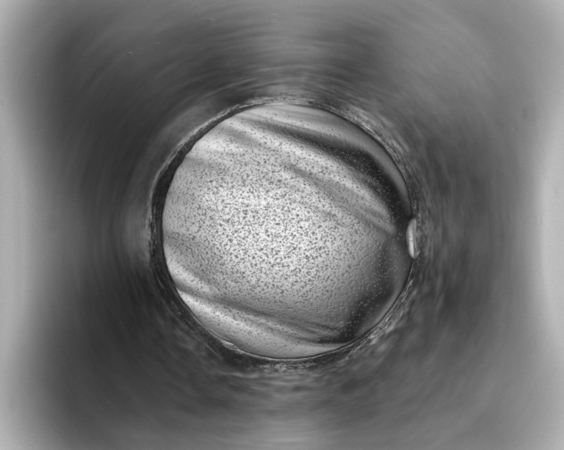 X0000095130338200712211334