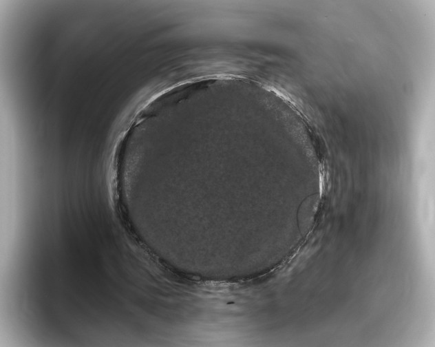 X0000095130339200712211334