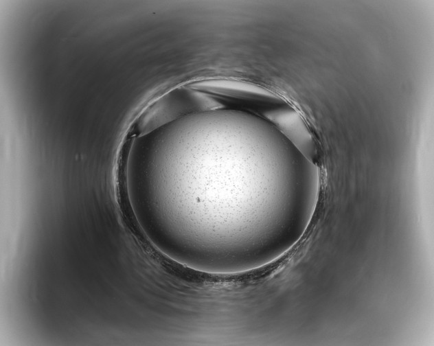 X0000095130340200712211334