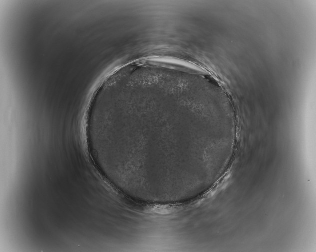 X0000095130341200712211334