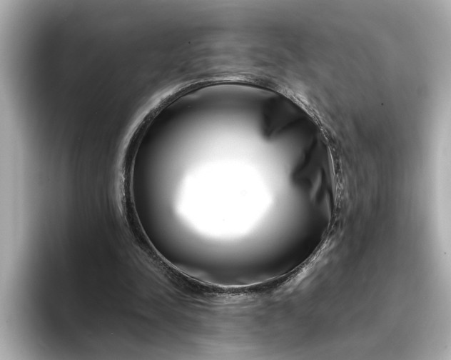 X0000095130342200712211334