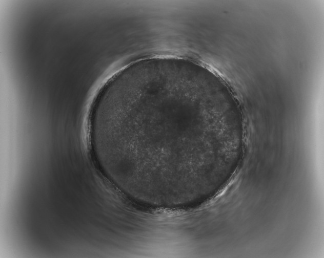 X0000095130343200712211334