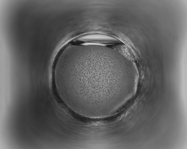 X0000095130344200712211334