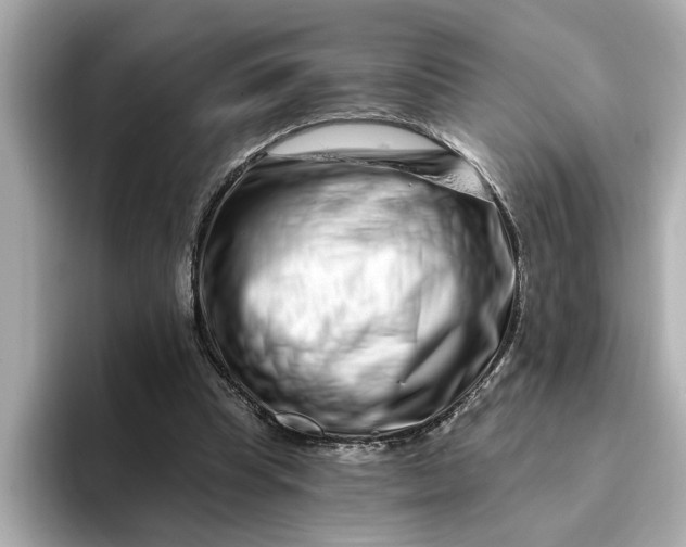 X0000095130345200712211334