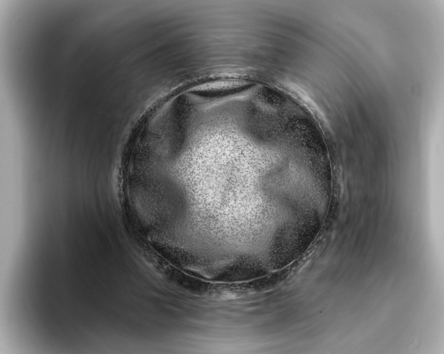 X0000095130346200712211334