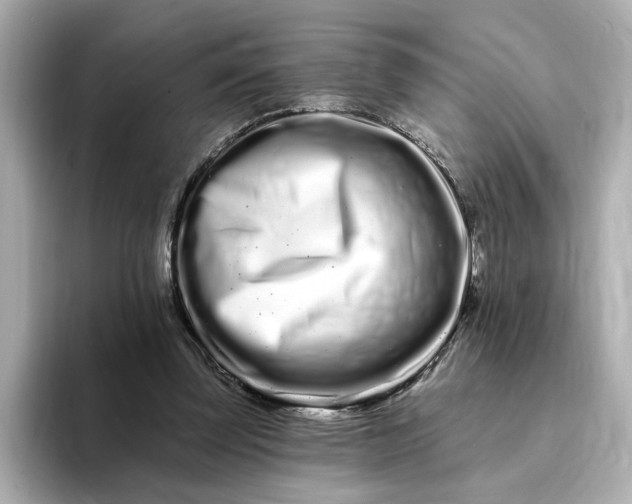 X0000095130347200712211334