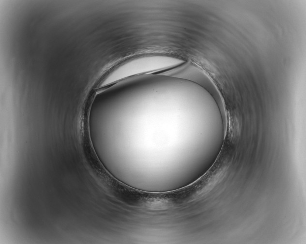 X0000095130348200712211334