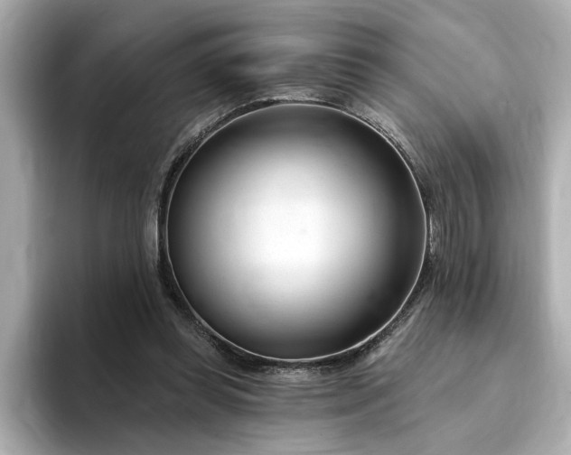 X0000095130349200712211334