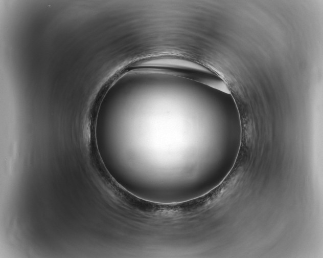 X0000095130350200712211334