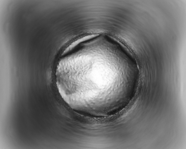 X0000095130351200712211334