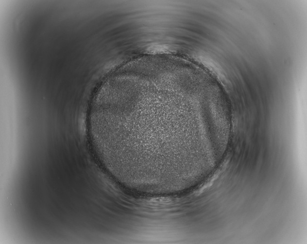 X0000095130353200712211334