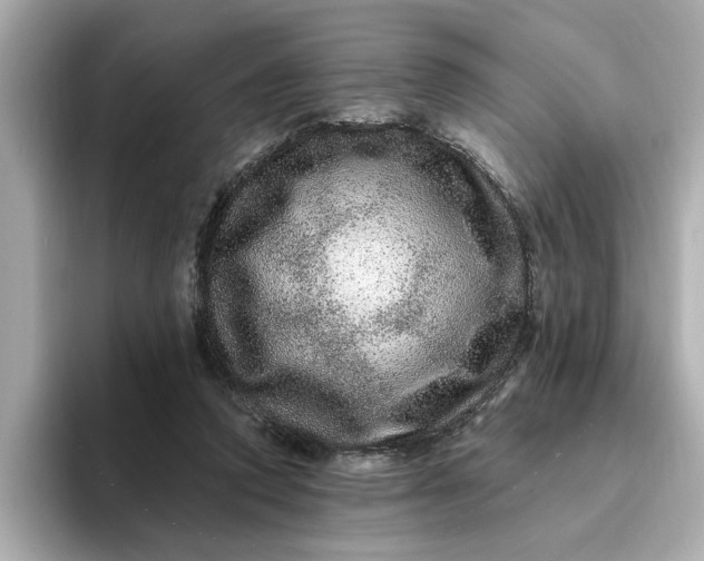 X0000095130354200712211334