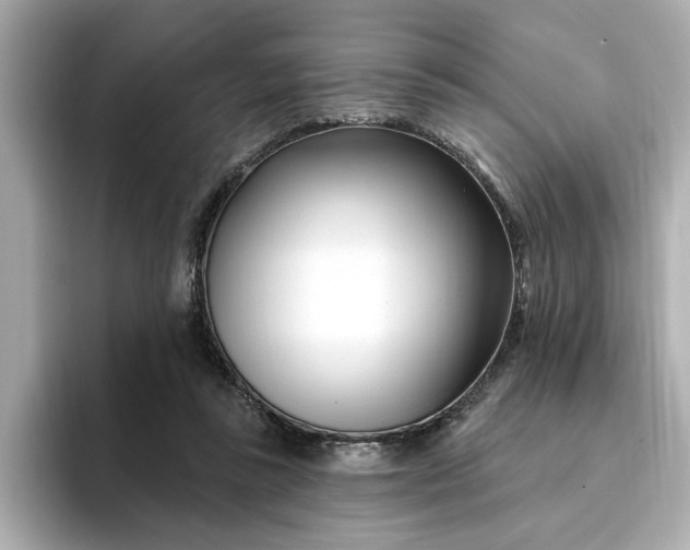 X0000095130355200712211334