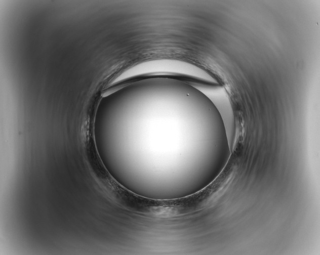 X0000095130356200712211334