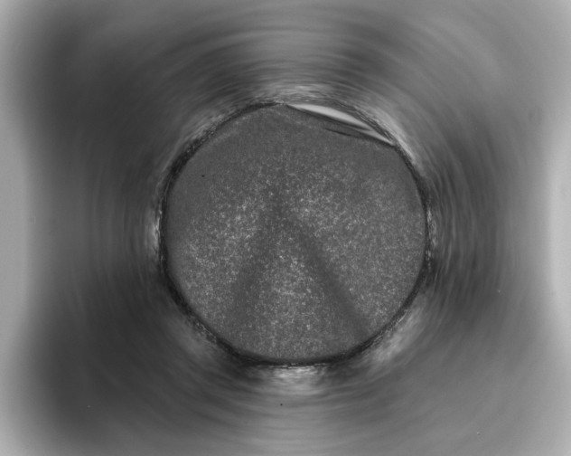 X0000095130357200712211334