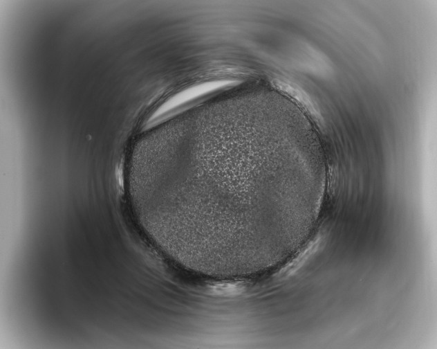 X0000095130358200712211334