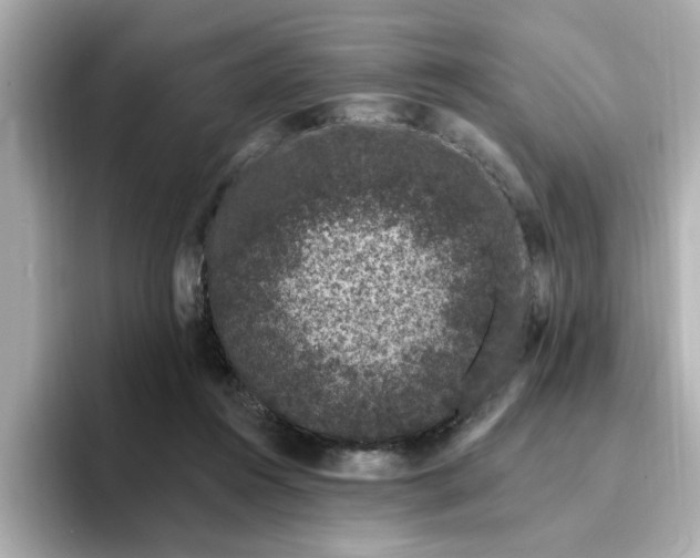 X0000095130360200712211334