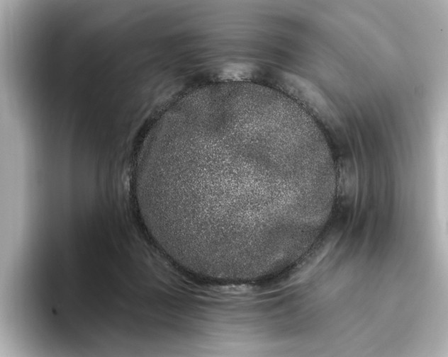 X0000095130363200712211334