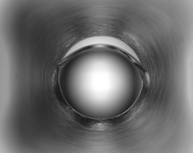 X0000095130364200712211334