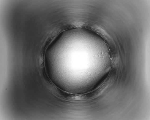 X0000095130365200712211334