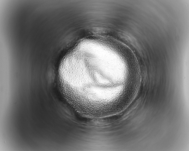 X0000095130367200712211334