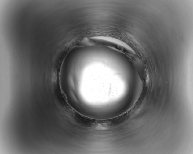 X0000095130368200712211334