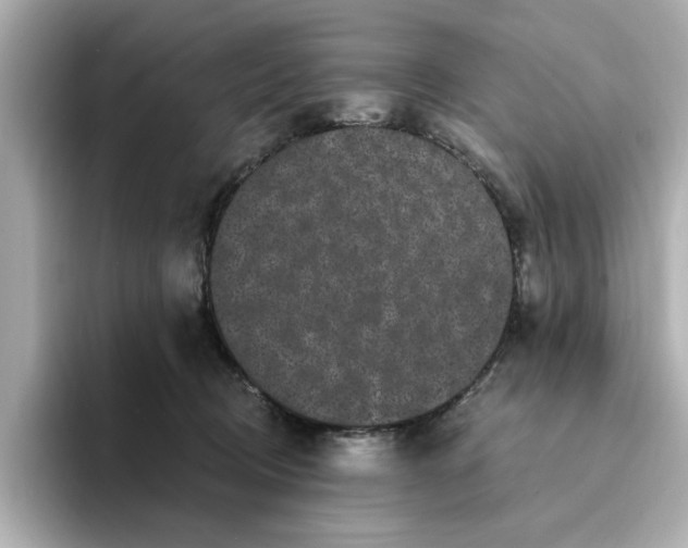 X0000095130370200712211334