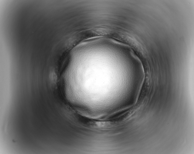 X0000095130371200712211335