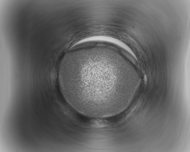 X0000095130372200712211335