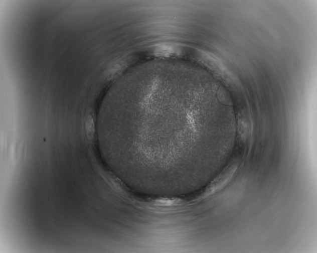 X0000095130375200712211335