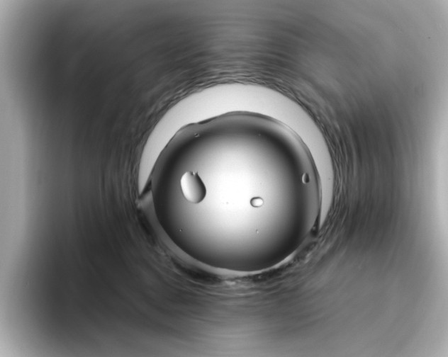 X0000095130376200712211335