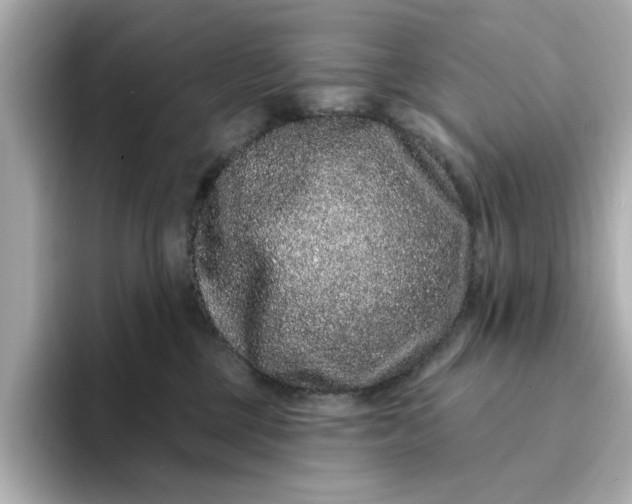 X0000095130377200712211335