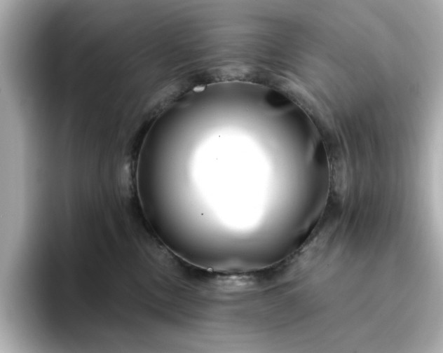 X0000095130378200712211335