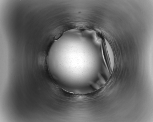 X0000095130379200712211335